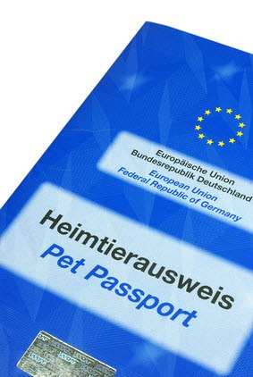Der EU-Heimtierausweis ist besonders auf Reisen wichtig.