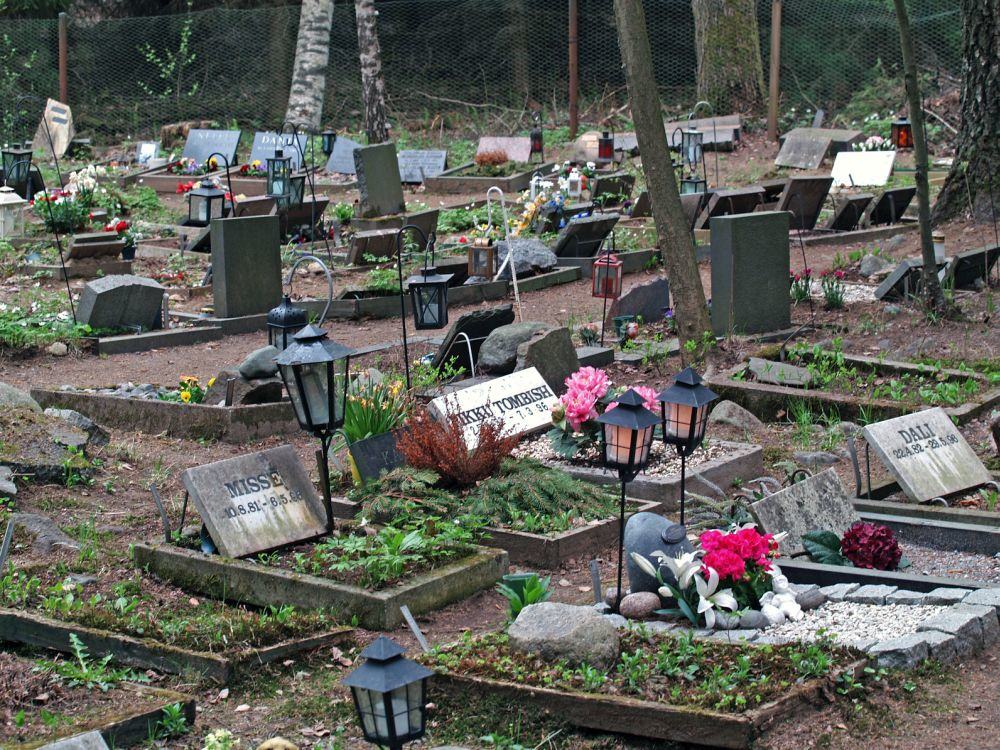 Den Dobermann auf dem Tierfriedhof begraben.
